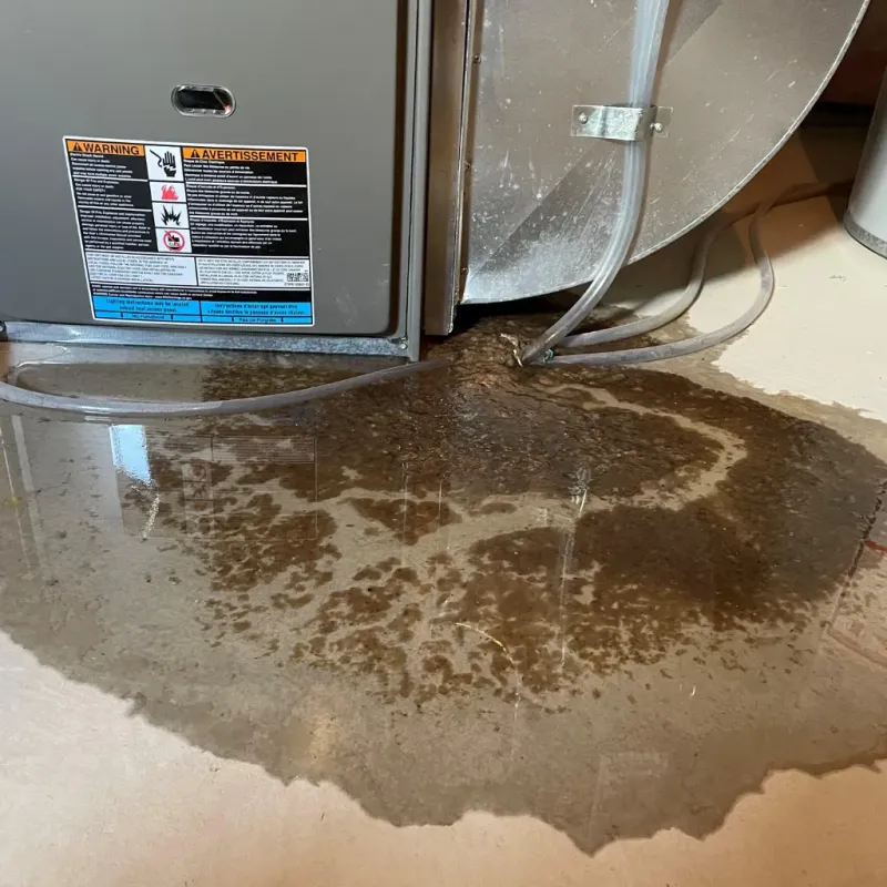 Appliance Leak Cleanup in Loughman, FL